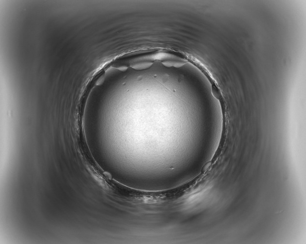 X0000085730345200703161010