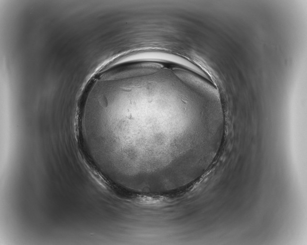 X0000085730346200703161010