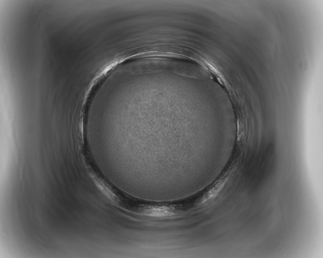 X0000085730349200703161010