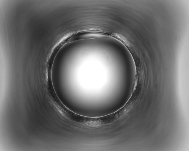 X0000085730350200703161010