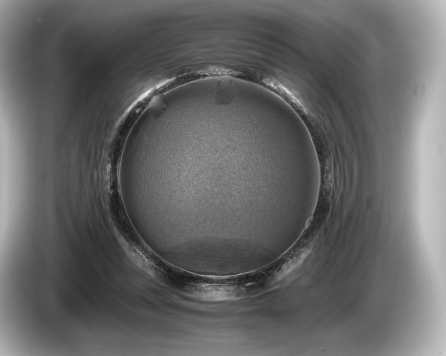 X0000085730351200703161010