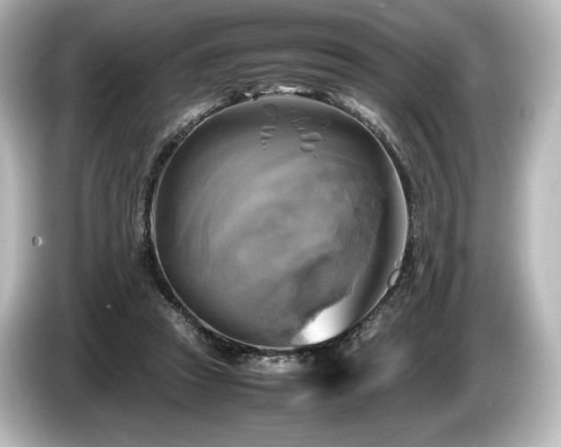 X0000085730353200703161011