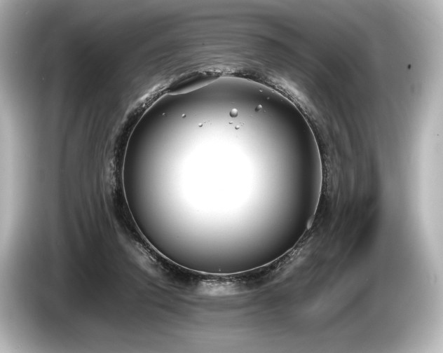 X0000085730354200703161011