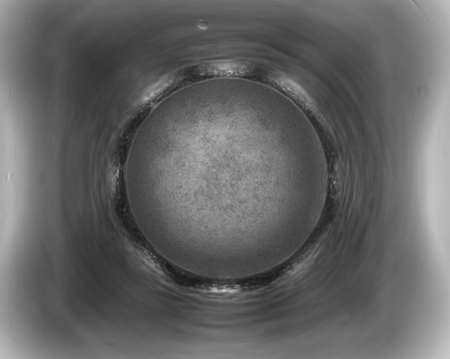 X0000085730355200703161011