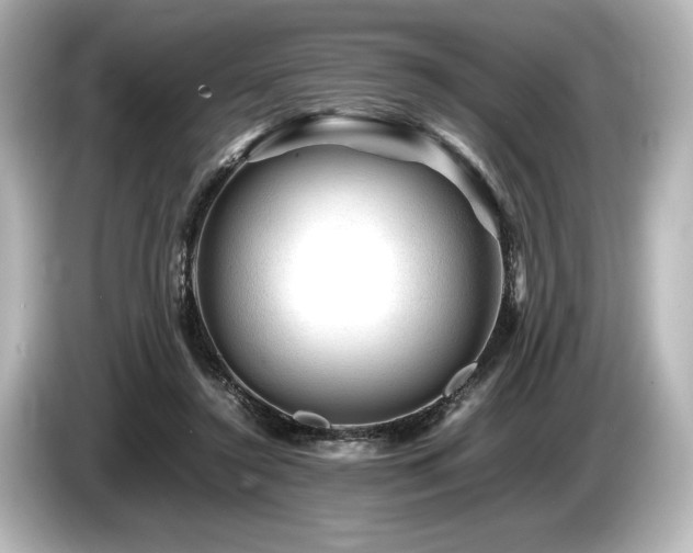 X0000085730356200703161011