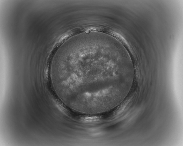 X0000085730357200703161011