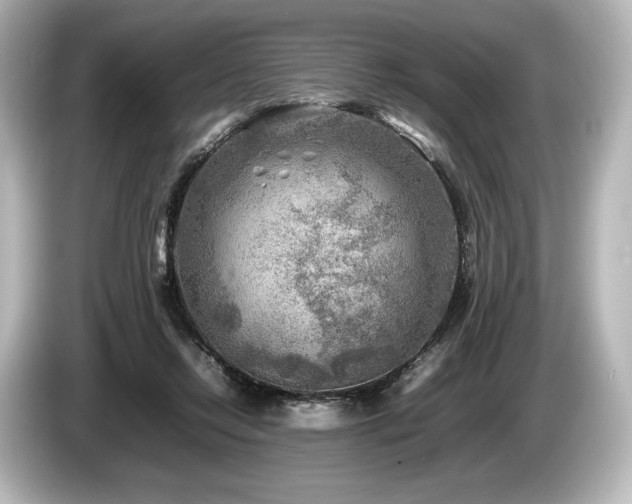 X0000085730358200703161011