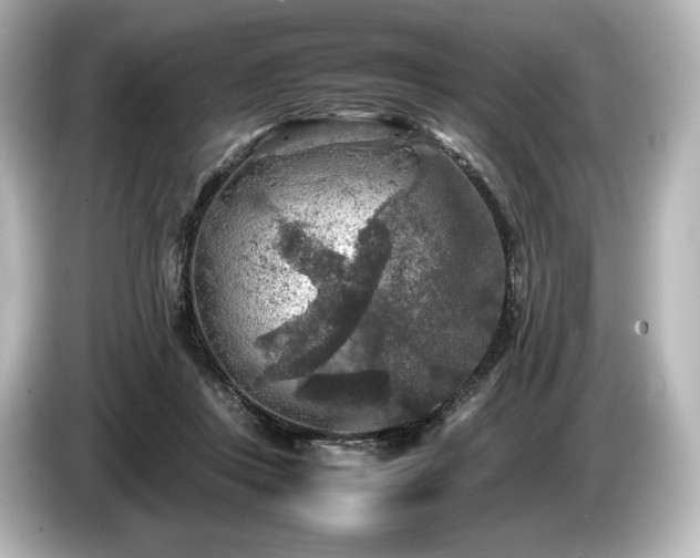 X0000085730359200703161011