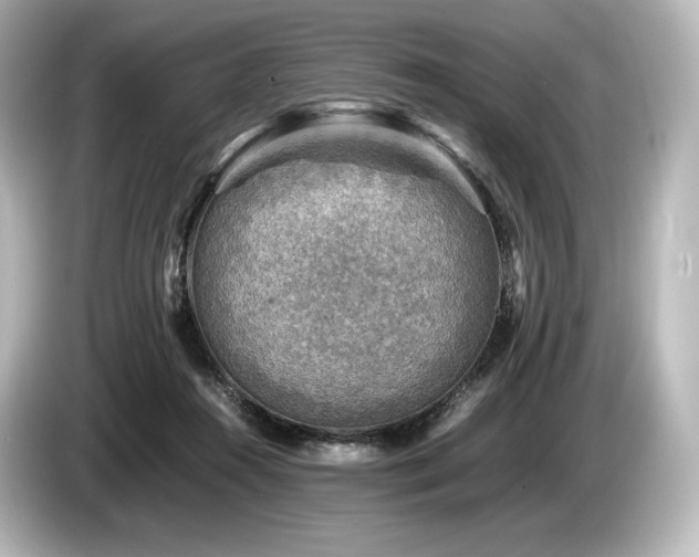 X0000085730360200703161011