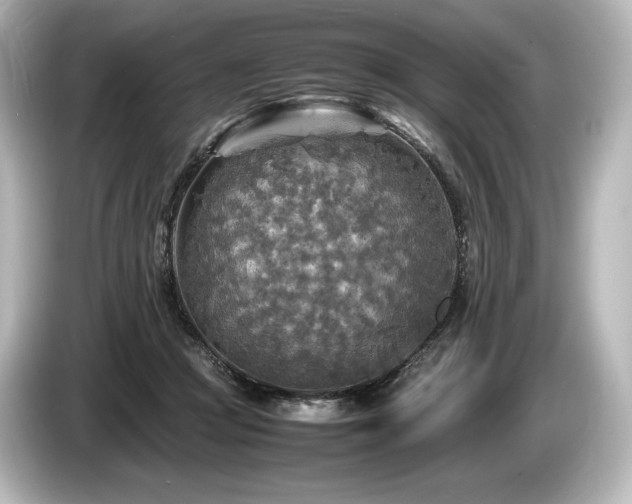 X0000085730361200703161011