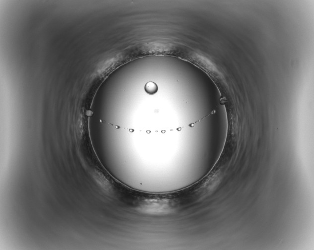 X0000085730362200703161011