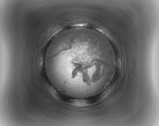 X0000085730363200703161011