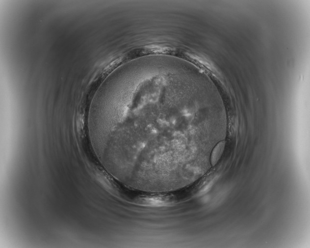 X0000085730365200703161011