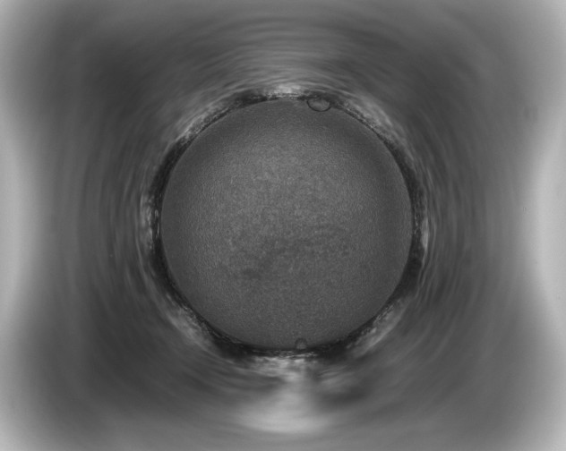 X0000085730366200703161011