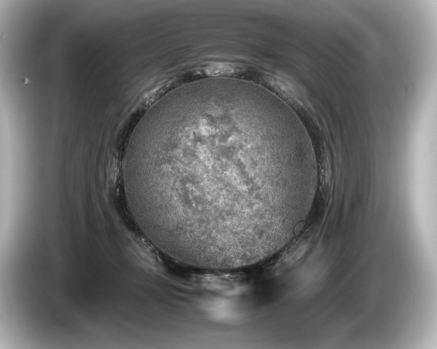 X0000085730367200703161011