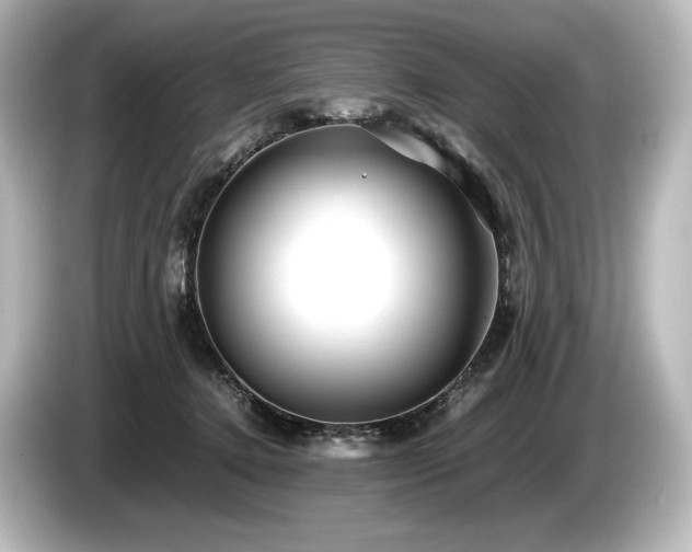 X0000085730368200703161011