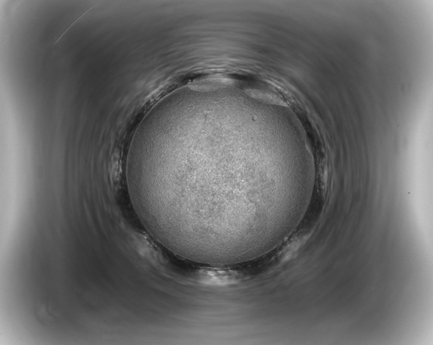 X0000085730372200703161011