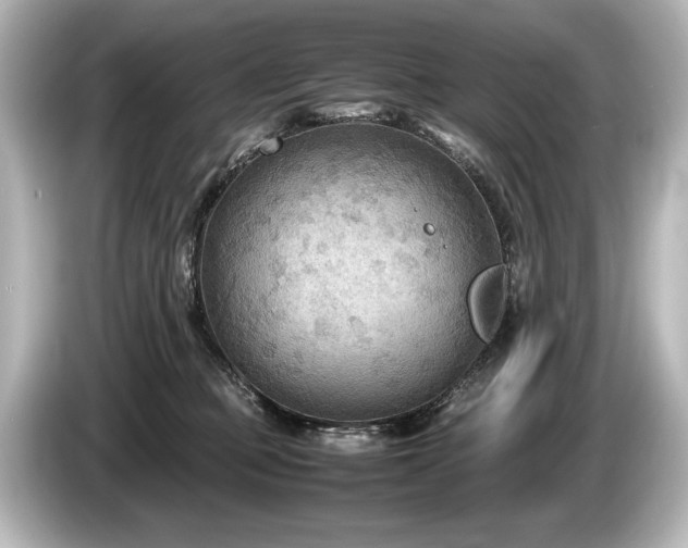 X0000085730373200703161011