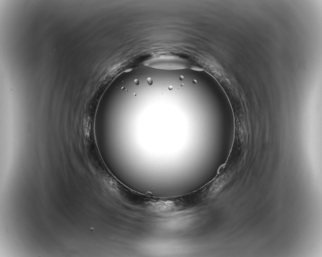 X0000085730374200703161011