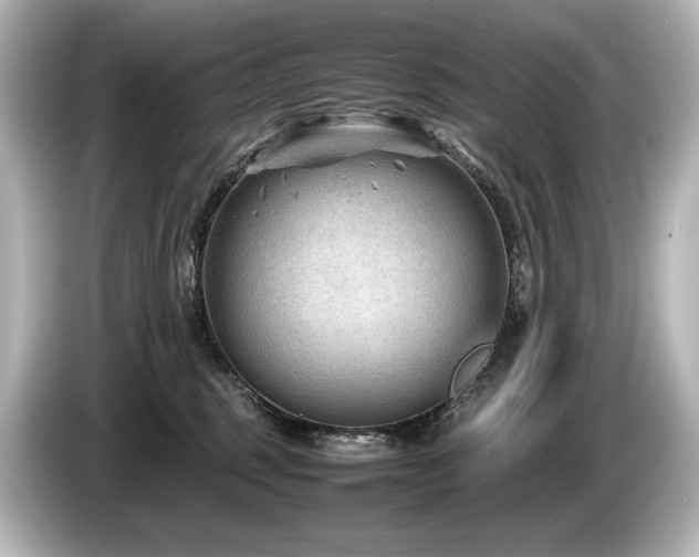 X0000085730375200703161011