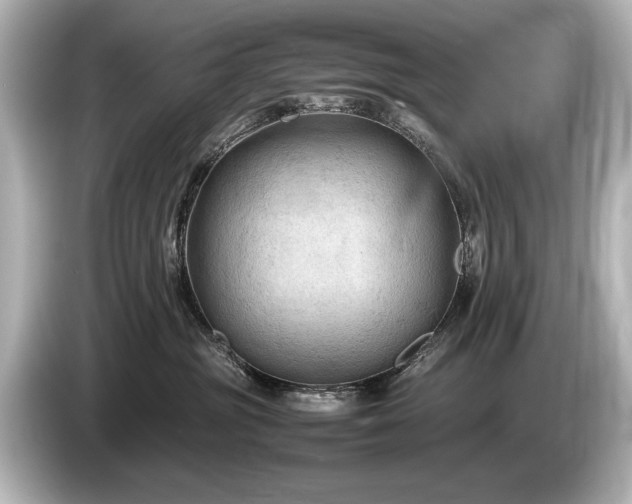 X0000085730381200703161011