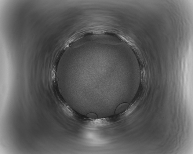 X0000085730382200703161011