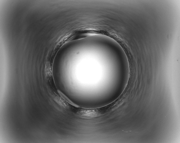 X0000085730384200703161011