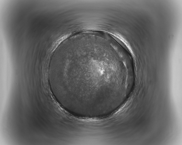 X0000085730385200703161010