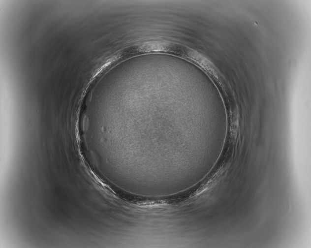 X0000085730386200703161010