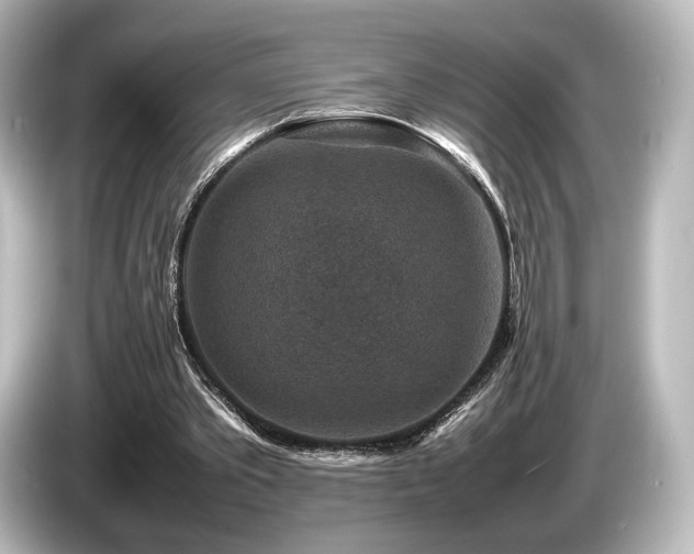 X0000085730389200703161010