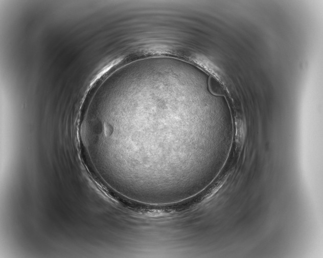 X0000085730390200703161010