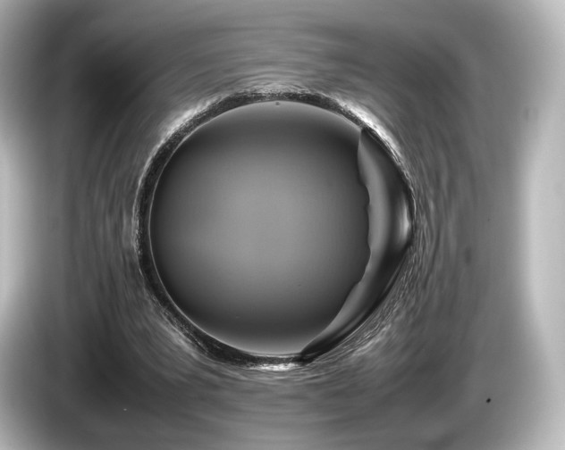 X0000085730391200703161010