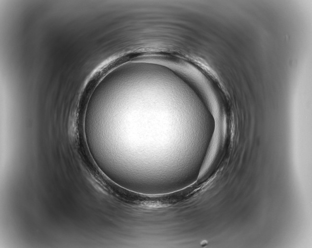 X0000085730392200703161010