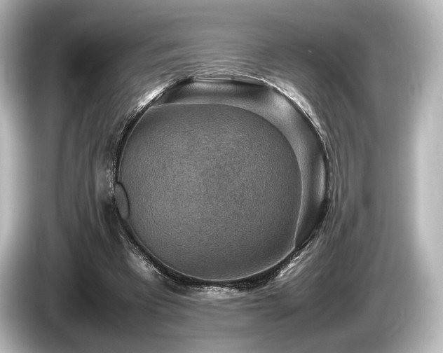 X0000085730393200703161010