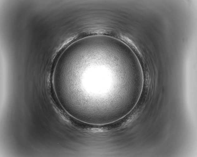 X0000085730394200703161010