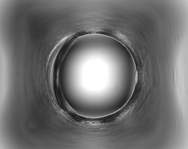 X0000085730395200703161010