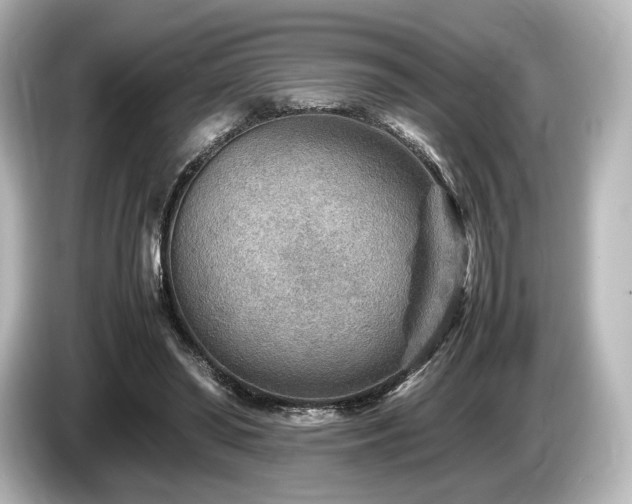 X0000085730398200703161010