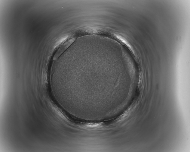 X0000085730399200703161010