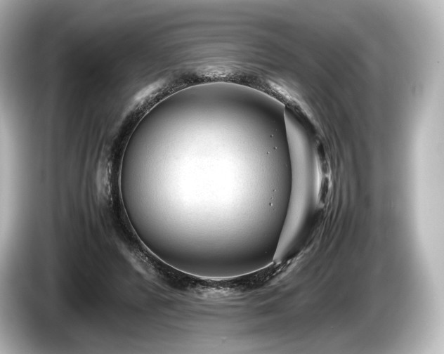 X0000085730400200703161010