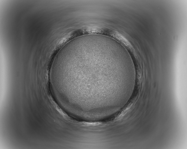 X0000085730401200703161010