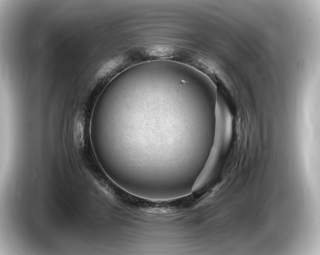 X0000085730404200703161010