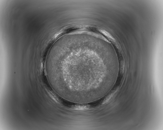 X0000085730405200703161010