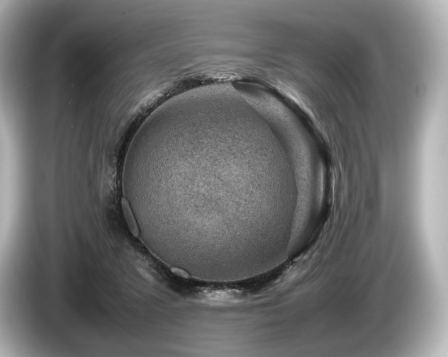 X0000085730407200703161010