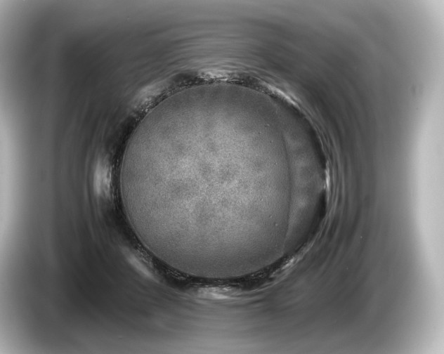 X0000085730408200703161010