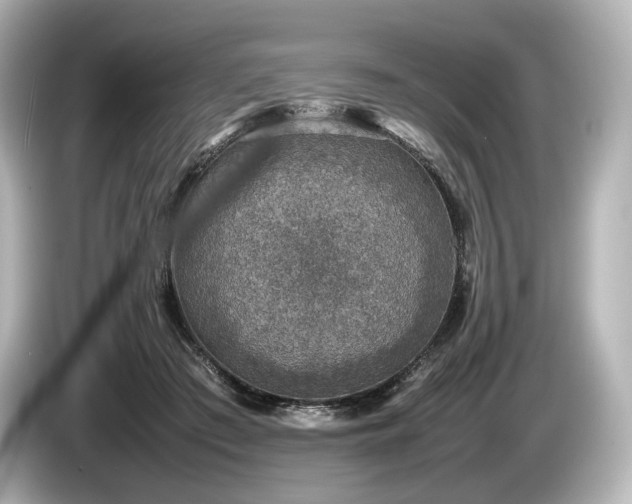 X0000085730409200703161010