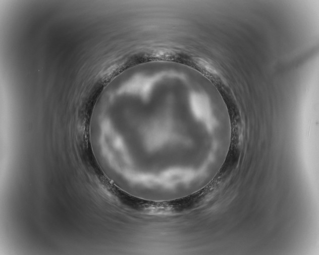 X0000085730415200703161010