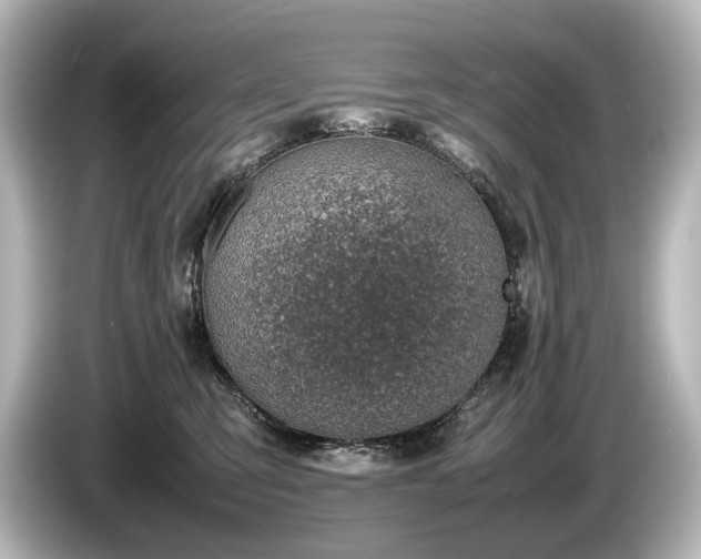 X0000085730423200703161010