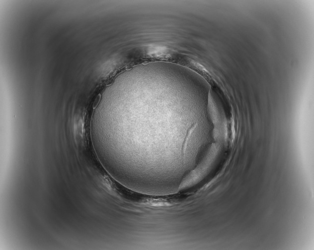 X0000085730424200703161010