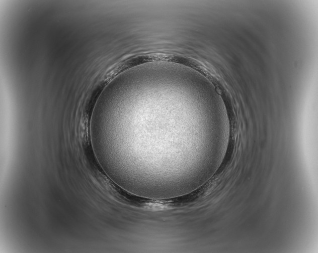 X0000085730425200703161010