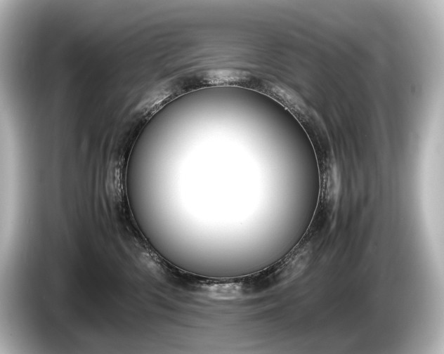 X0000085730426200703161010